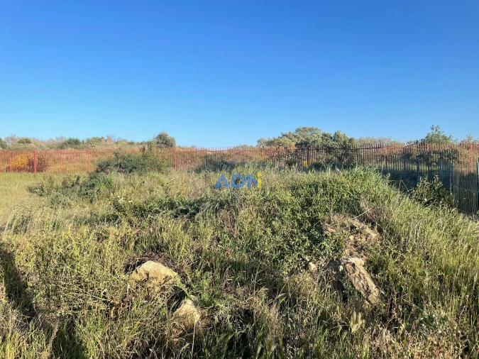 Terreno para Venda em Castelo Branco Foto 11
