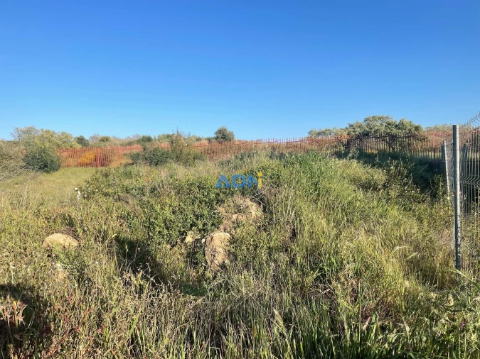 Terreno para Venda em Castelo Branco Foto 4