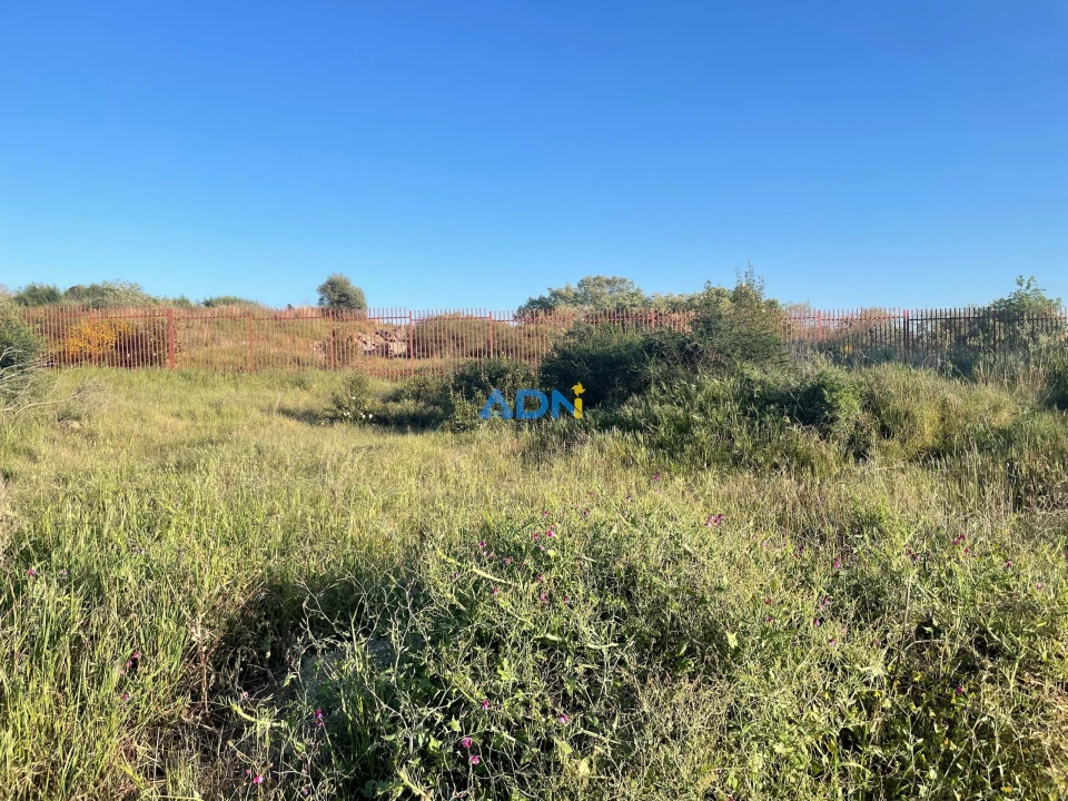 Terreno para Venda em Castelo Branco Foto 2