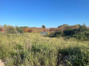 Terreno para Venda em Castelo Branco