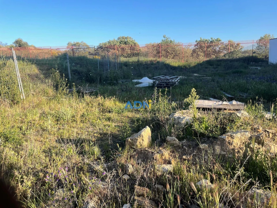 Terreno para Venda em Castelo Branco Foto 3