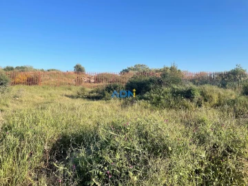 Terreno para Venda em Castelo Branco