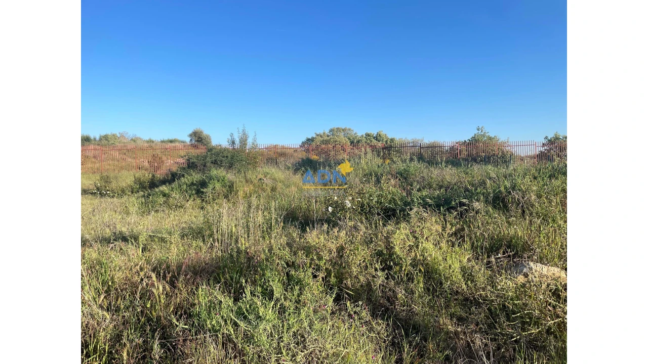 Terreno para Venda em Castelo Branco Foto 4