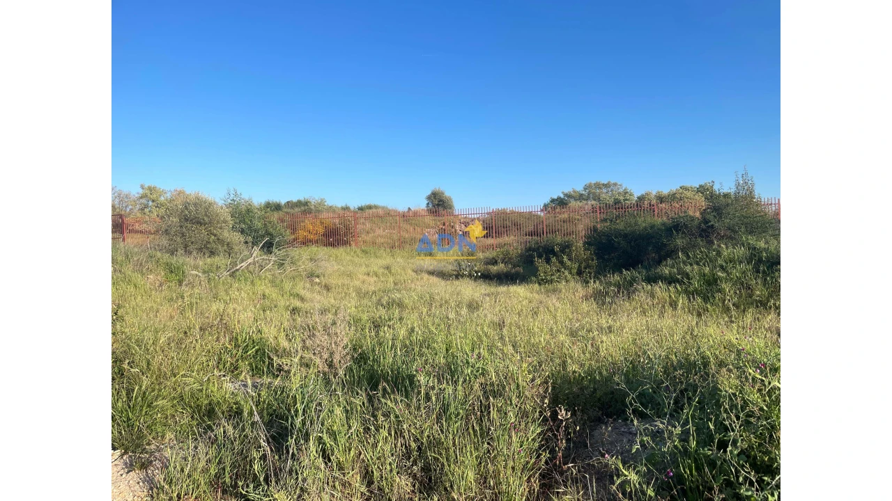 Terreno para Venda em Castelo Branco Foto 5