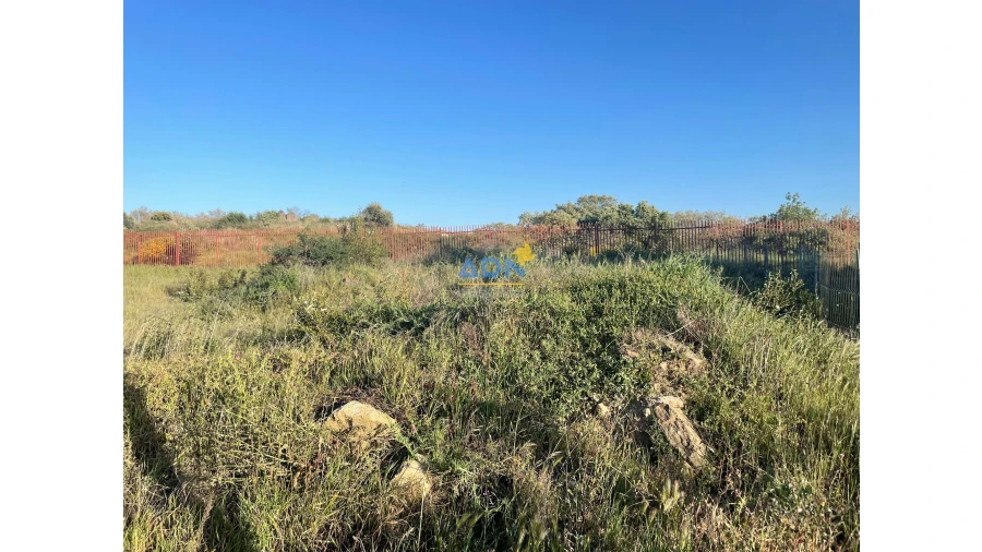 Terreno para Venda em Castelo Branco Foto 10