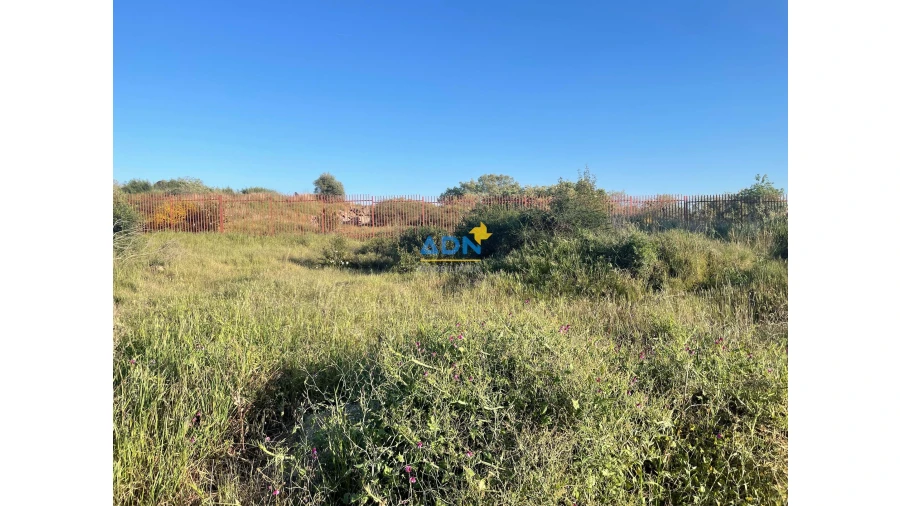 Terreno para Venda em Castelo Branco