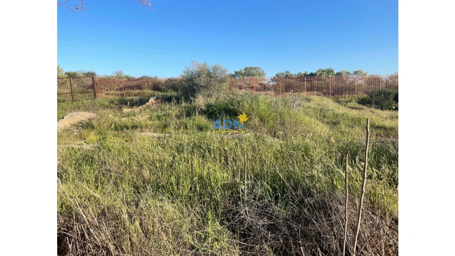 Terreno para Venda em Castelo Branco Foto 6