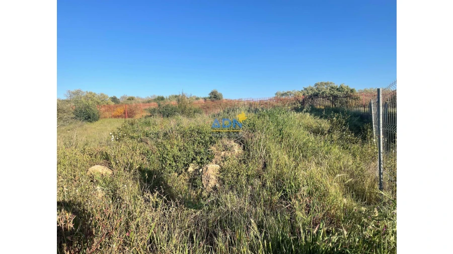 Terreno para Venda em Castelo Branco Foto 3