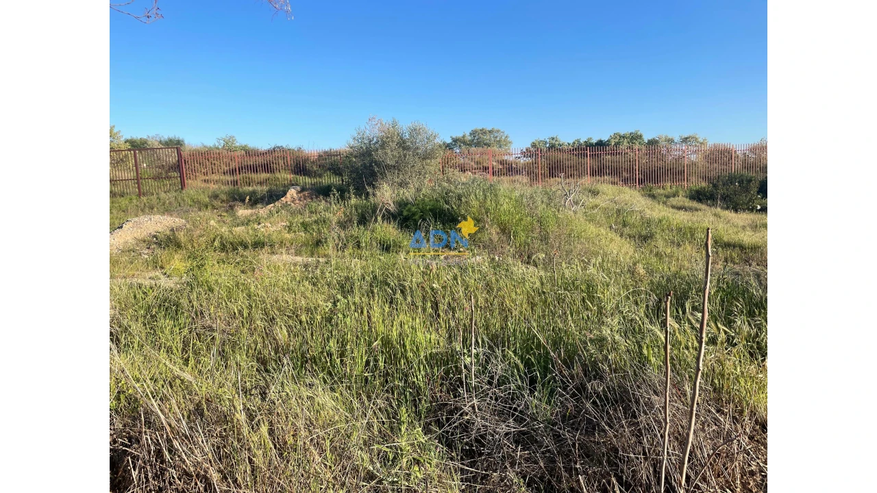 Terreno para Venda em Castelo Branco Foto 6