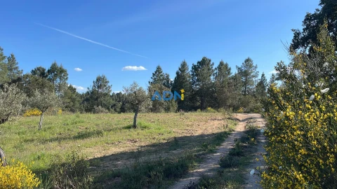 Terreno para Venda em Salgueiro do Campo