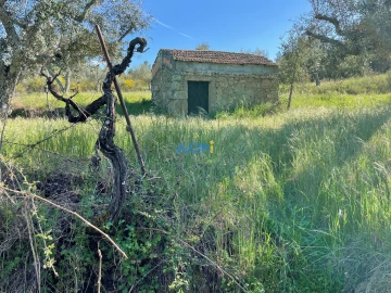 Terreno para Venda em Salgueiro do Campo