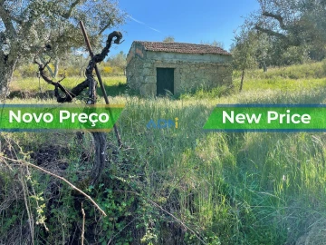 Terreno para Venda em Salgueiro do Campo