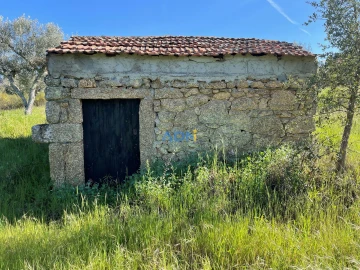 Terreno para Venda em Salgueiro do Campo