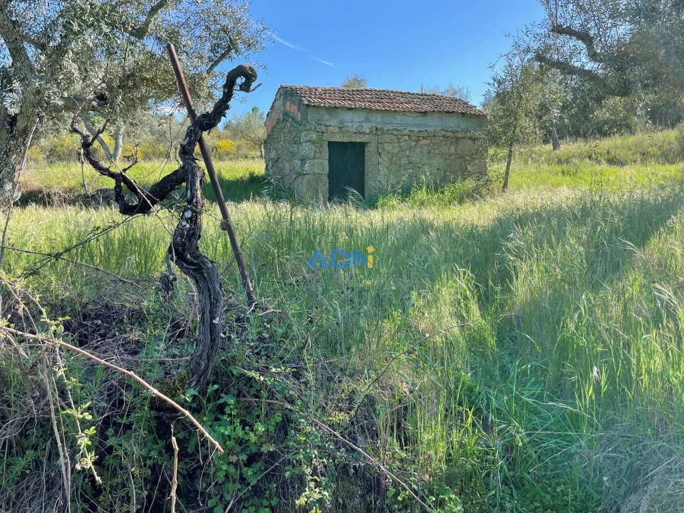 Terreno para Venda em Salgueiro do Campo Foto 2