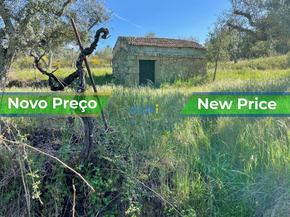 Terreno para Venda em Salgueiro do Campo Foto 1