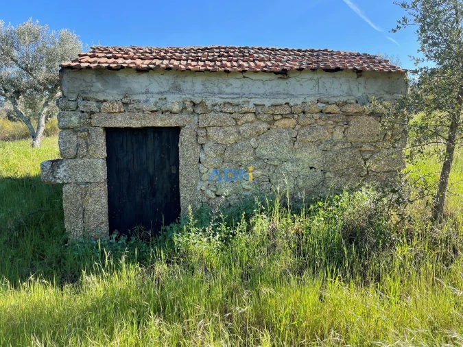 Terreno para Venda em Salgueiro do Campo Foto 3