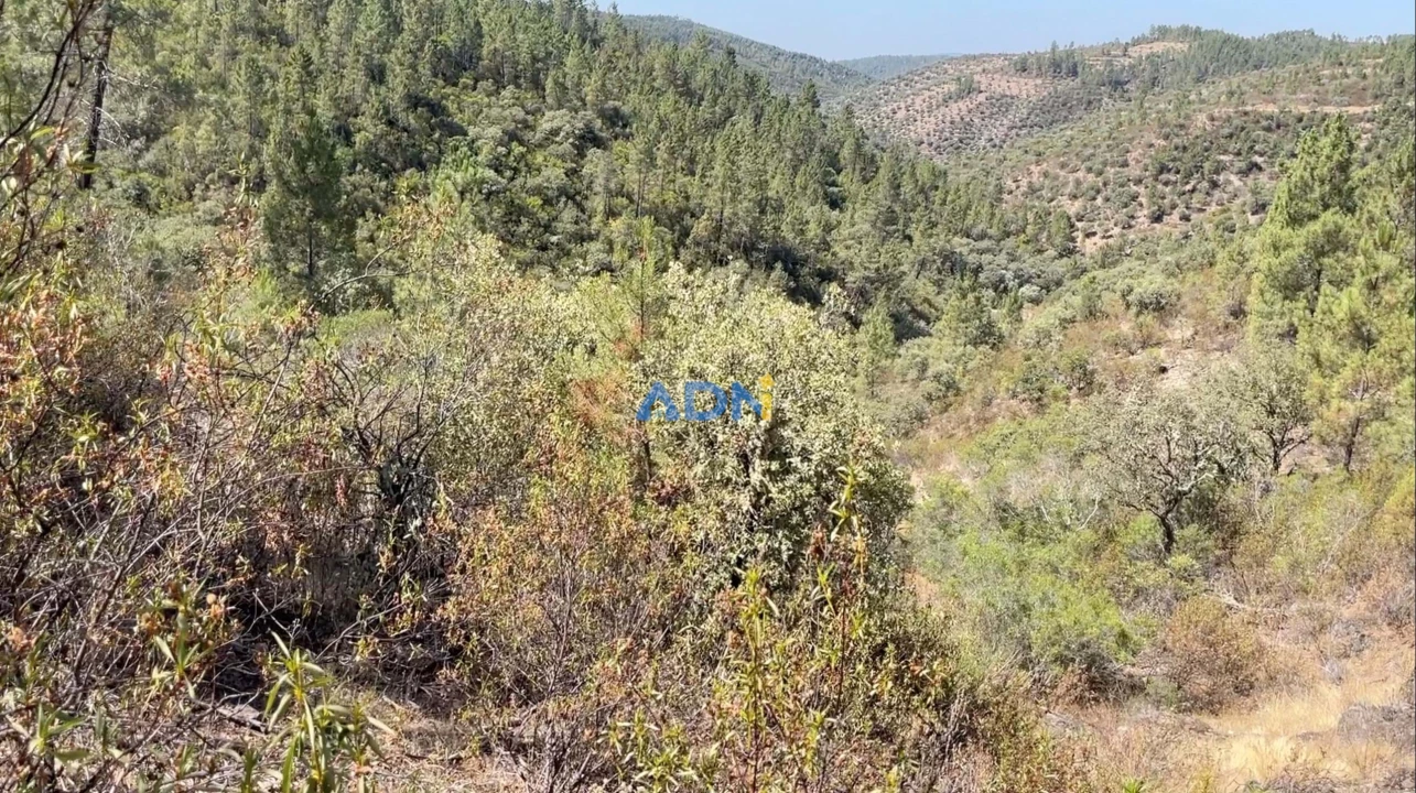 Terreno para Venda em Benquerenças Foto 5