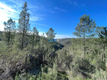 Terreno para Venda em Benquerenças