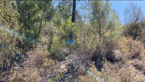 Terreno para Venda em Benquerenças