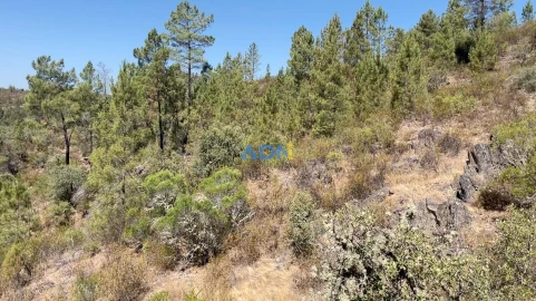 Terreno para Venda em Benquerenças
