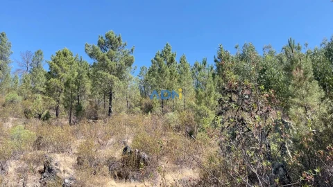 Terreno para Venda em Benquerenças