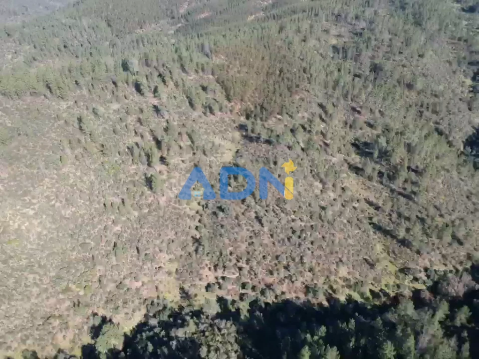 Terreno para Venda em Benquerenças Foto 2