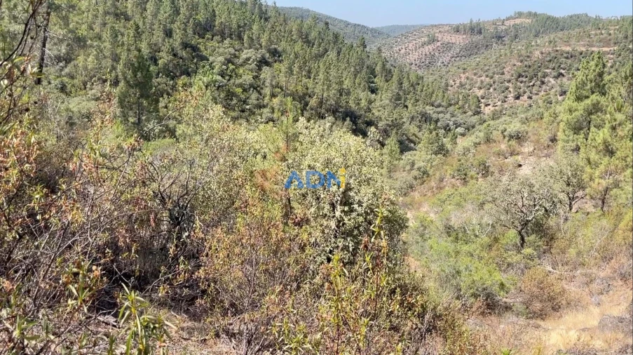 Terreno para Venda em Benquerenças Foto 5