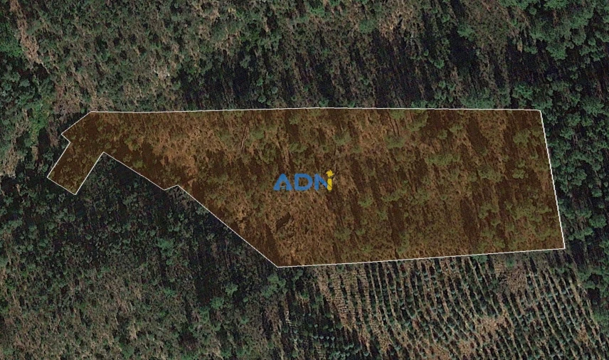 Terreno para Venda em Benquerenças Foto 10