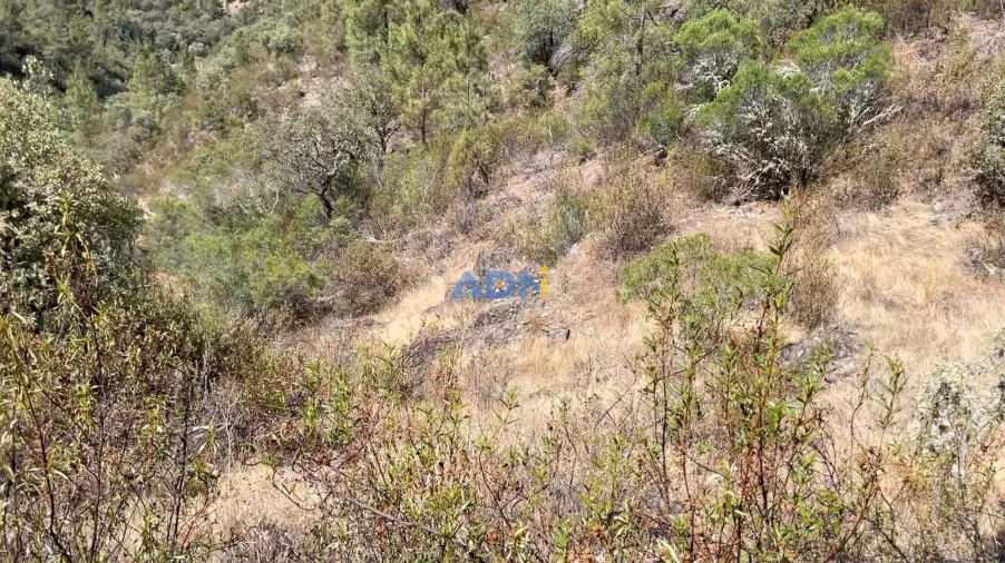 Terreno para Venda em Benquerenças Foto 7