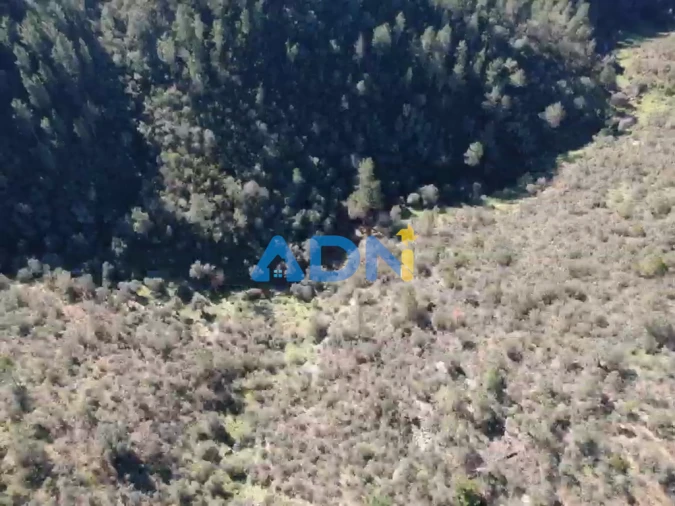 Terreno para Venda em Benquerenças Foto 4