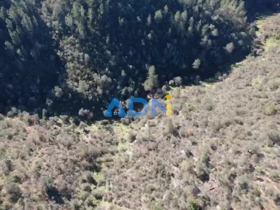 Terreno para Venda em Benquerenças Foto 4