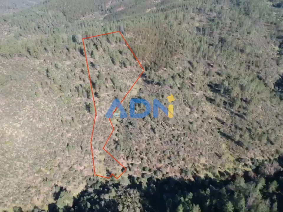 Terreno para Venda em Benquerenças Foto 1