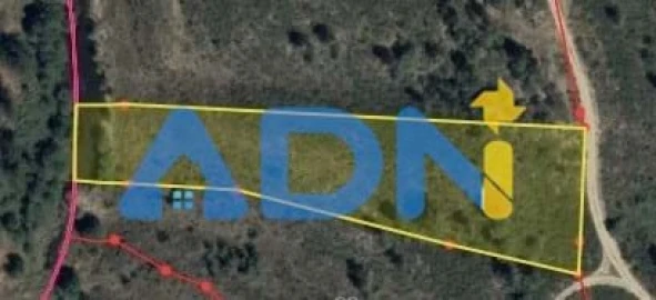 Terreno para Venda em Castelo Branco