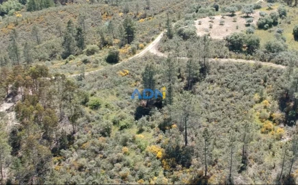 Terreno para Venda em Castelo Branco