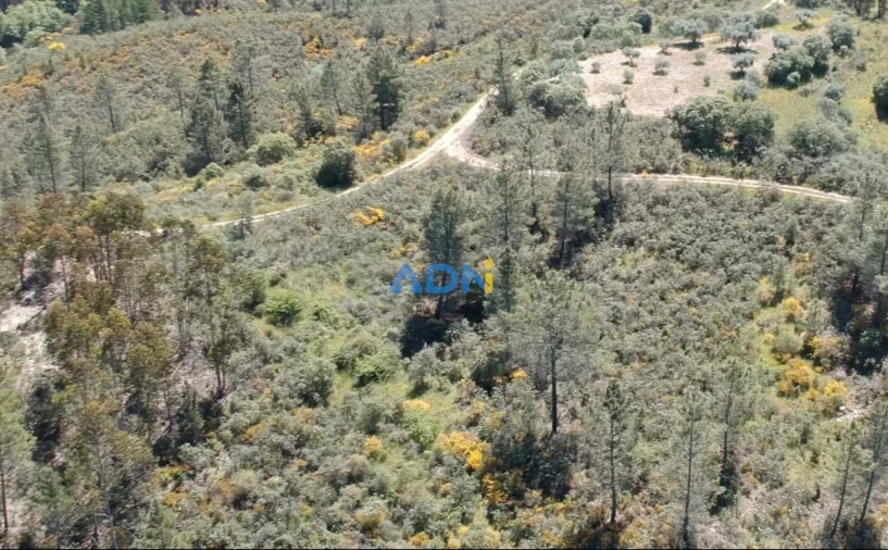 Terreno para Venda em Castelo Branco Foto 5