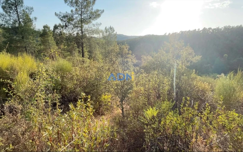 Terreno para Venda em Castelo Branco Foto 6