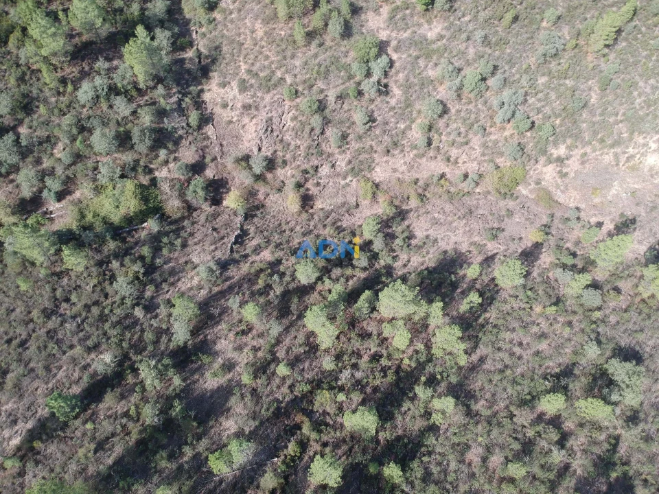 Terreno para Venda em Benquerenças Foto 3