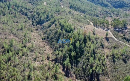 Terreno para Venda em Benquerenças