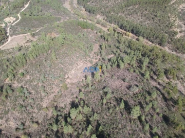 Terreno para Venda em Benquerenças