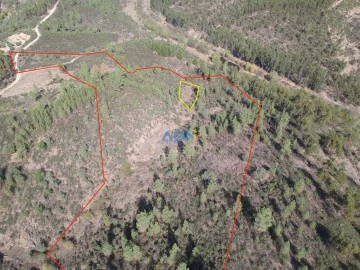 Terreno para Venda em Benquerenças