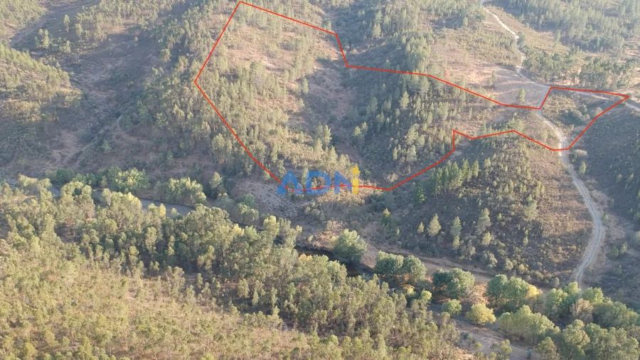 Terreno para Venda em Benquerenças Foto 8