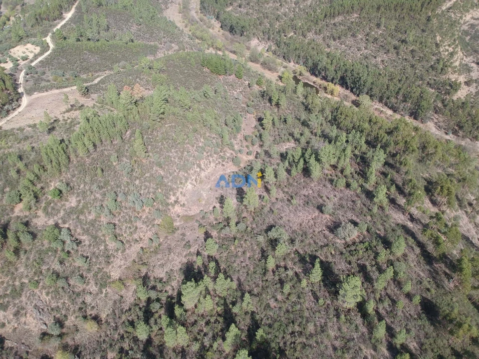 Terreno para Venda em Benquerenças Foto 1