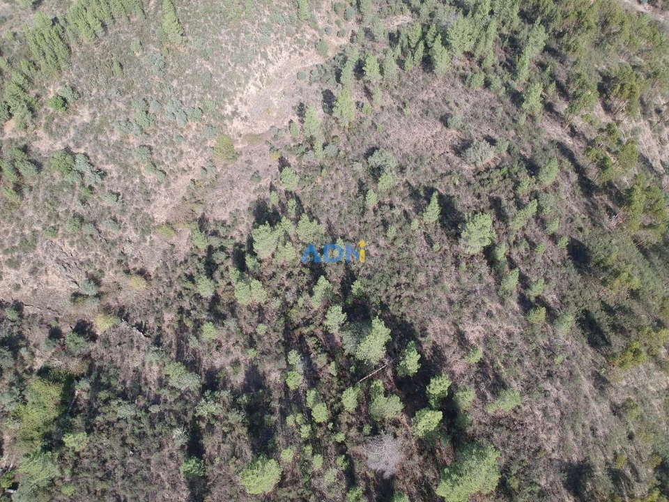 Terreno para Venda em Benquerenças Foto 4
