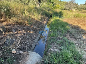 Terreno para Venda em Sarzedas