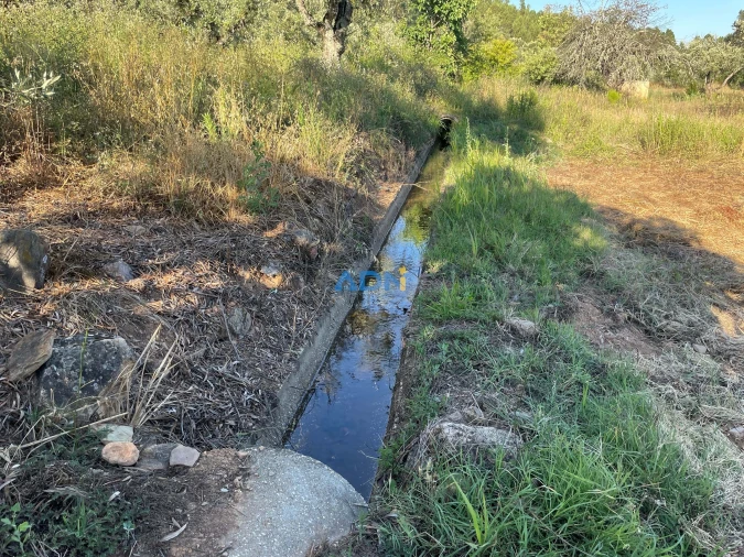 Terreno para Venda em Sarzedas Foto 5