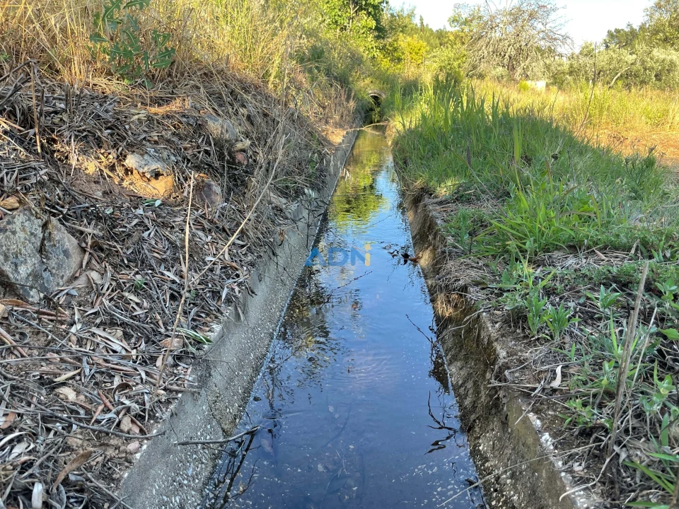 Terreno para Venda em Sarzedas Foto 4