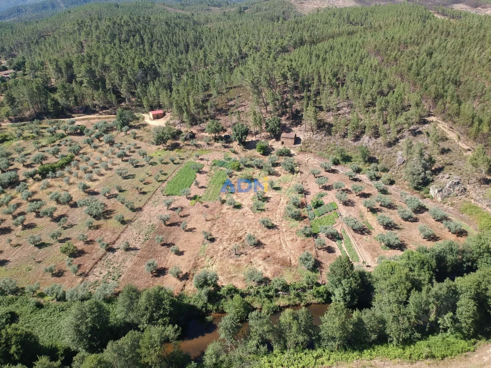 Terreno para Venda em Sarzedas Foto 26