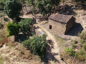 Terreno para Venda em Sarzedas