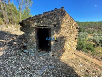 Terreno para Venda em Sarzedas