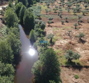 Terreno para Venda em Sarzedas